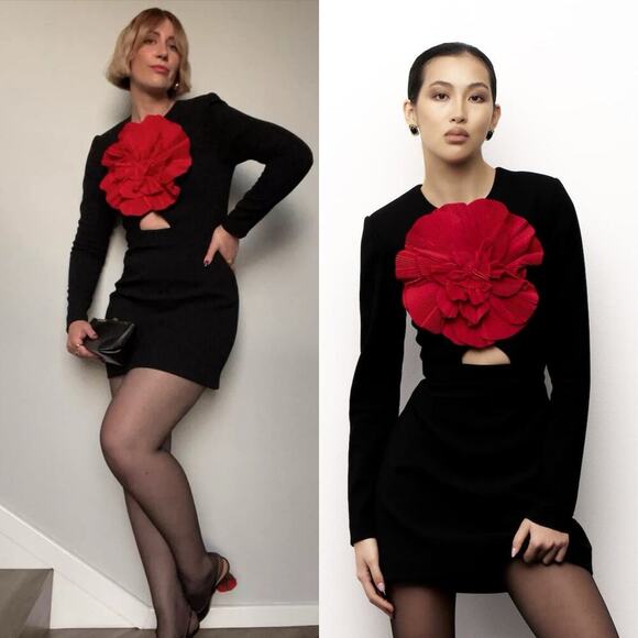 NWT Rebecca Vallance Black Rhosen Red Floral Applique Mini Dress US 8/AUS 12 - Picture 1 of 13